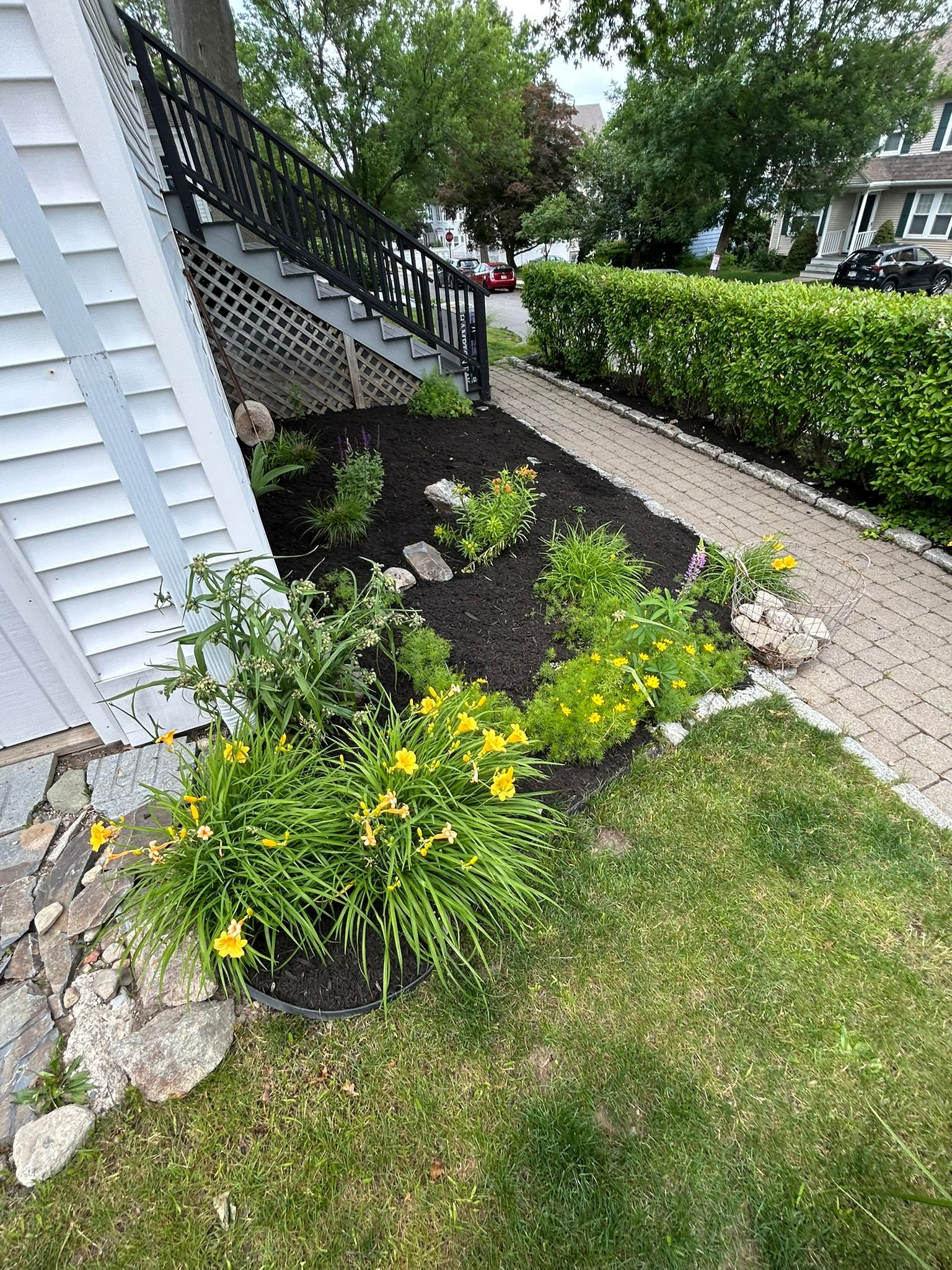 Landscape Design & Installation